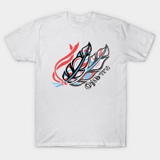 Ojibwe & Feather 2 T-Shirt